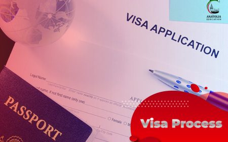 Visa Process-01